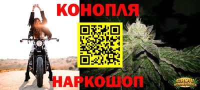 спайс Можга