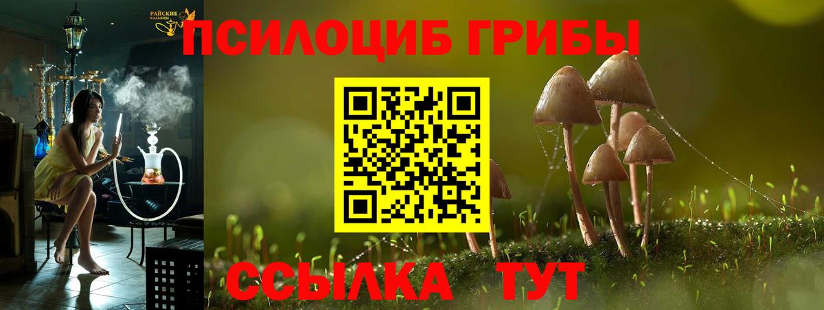 Галлюциногенные грибы GOLDEN TEACHER  Вход с VPN  Чапаевск 